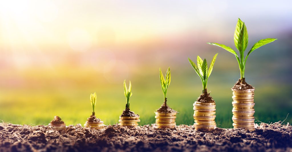 KiwiSaver: How to choose the right fund type and provider for you