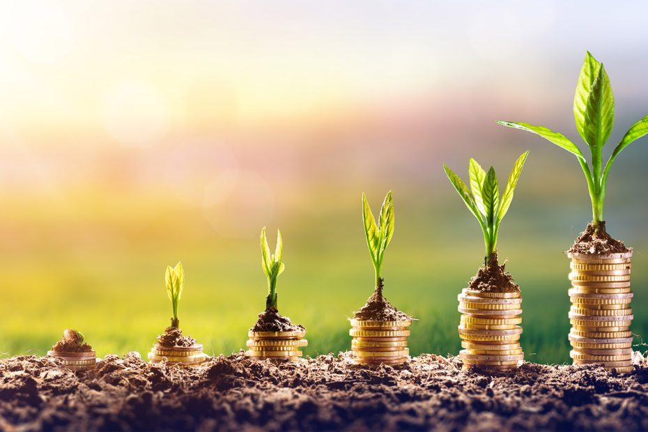KiwiSaver: How to choose the right fund type and provider for you